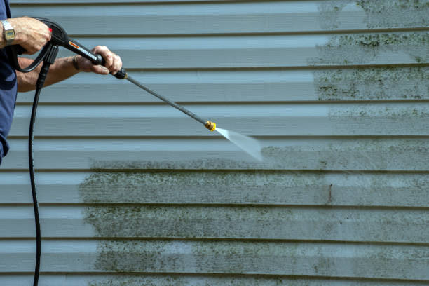 Boat and Dock Cleaning